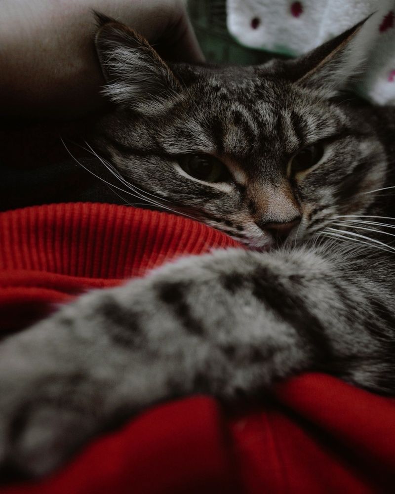 Photograph by Владлен Ряков