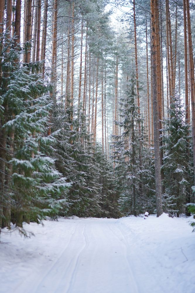 Photograph by Павел Глазков
