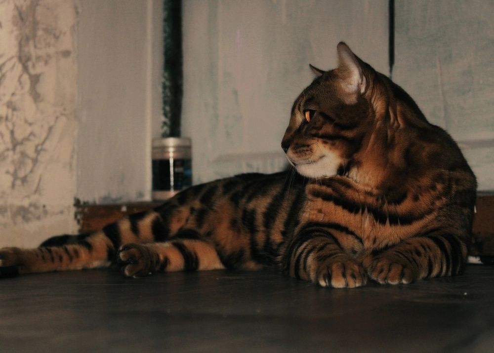 Photograph by Владлен Ряков