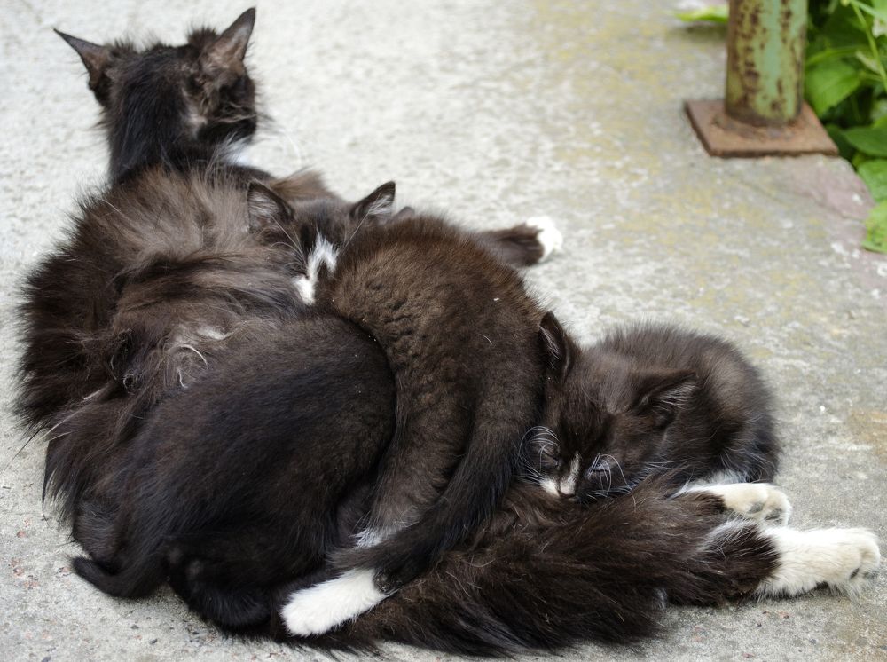 Photograph by Евгений Каримов