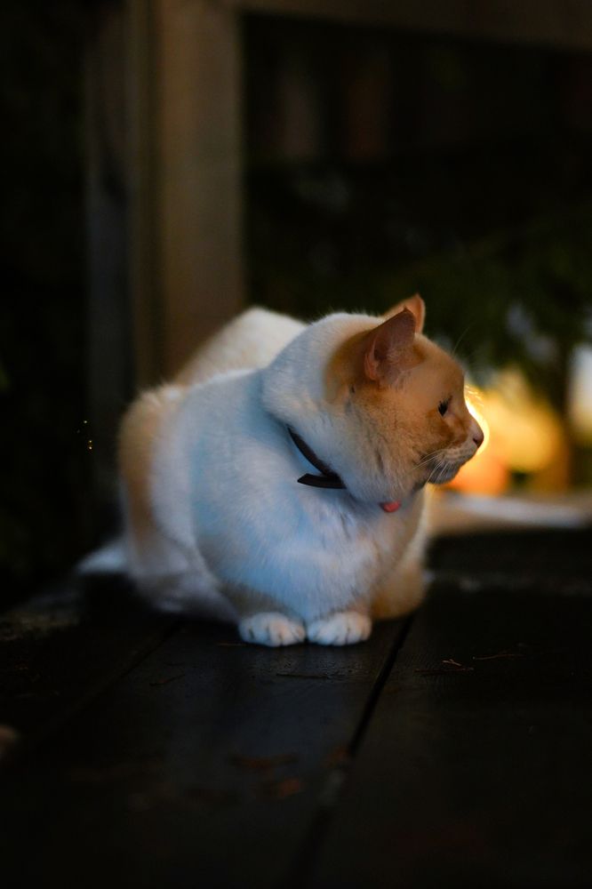Photograph by Павел Глазков
