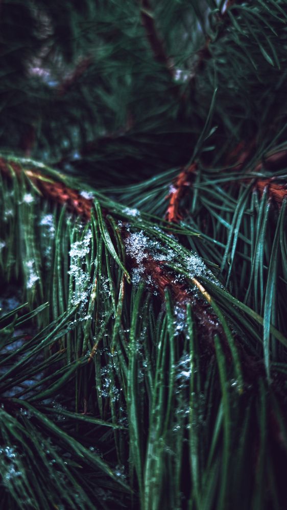 Фотография автора Ангелина