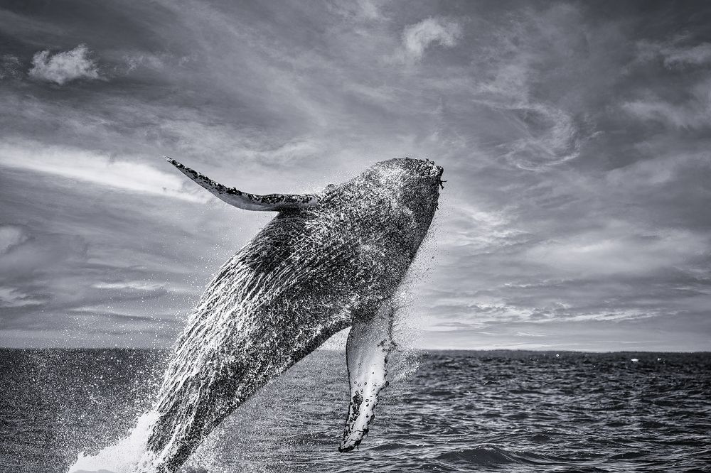 Photograph by Владимир Луценко