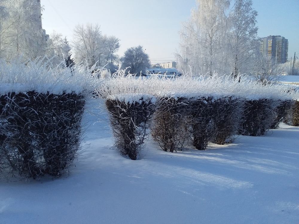 Photograph by Анастасия Кичигина