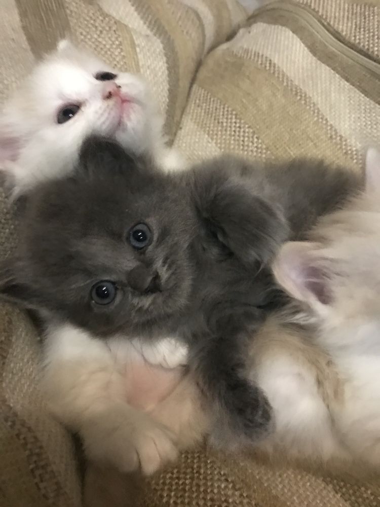 Photograph by Елена Гущина