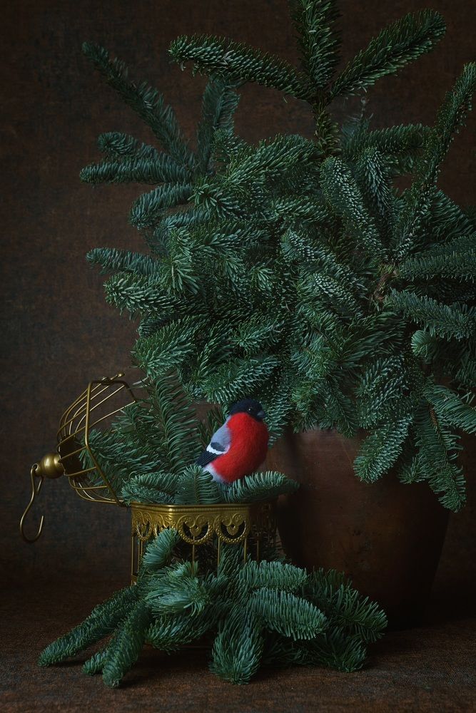 Photograph by Мария Акимова