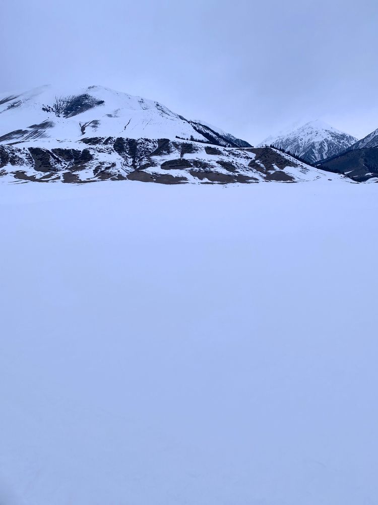 Photograph by Дарья М