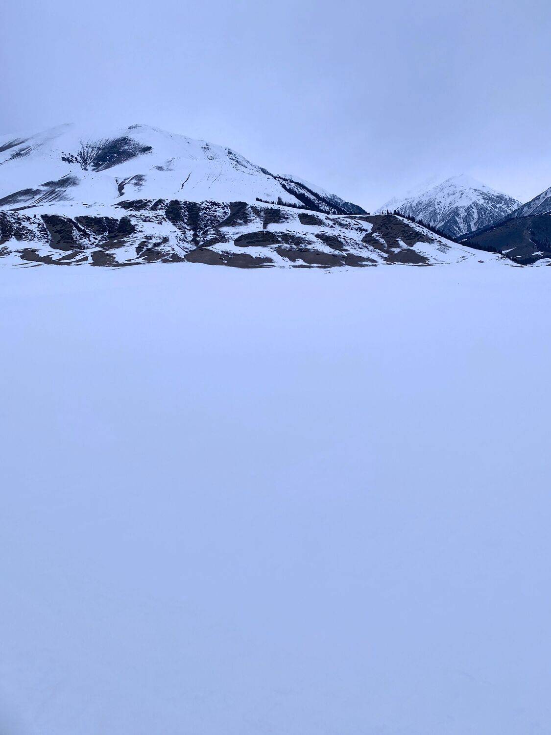 Photo #8700317