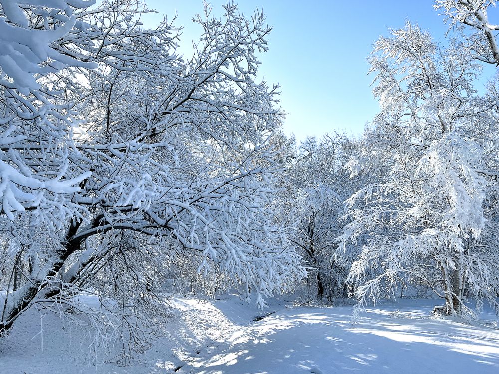 Photograph by Юлия