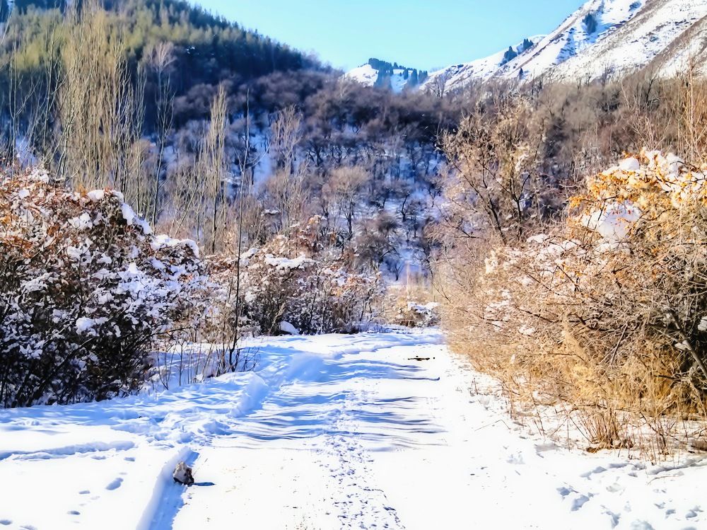 Фотография автора Владислав Крашевский