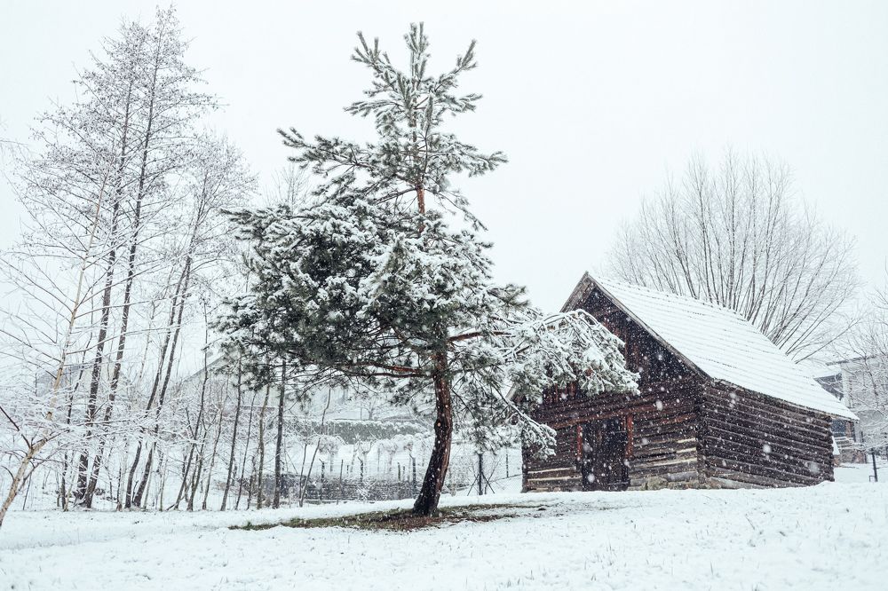 Photograph by Юлия Белозёрова