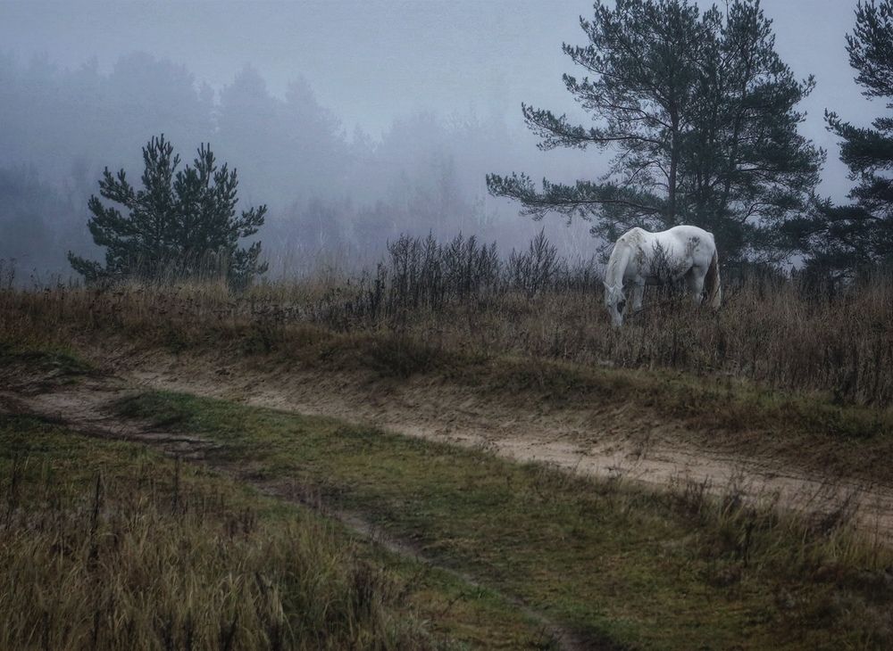 Photograph by Марина Безенкина
