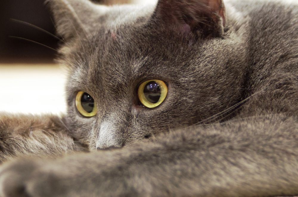 Photograph by Александр Кравченко