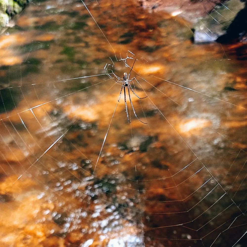 Photograph by Sneha Thomas