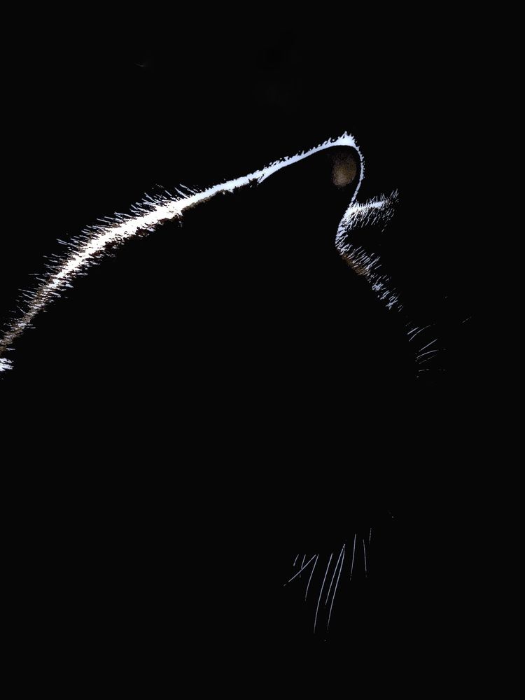 Photograph by Inna Sknara