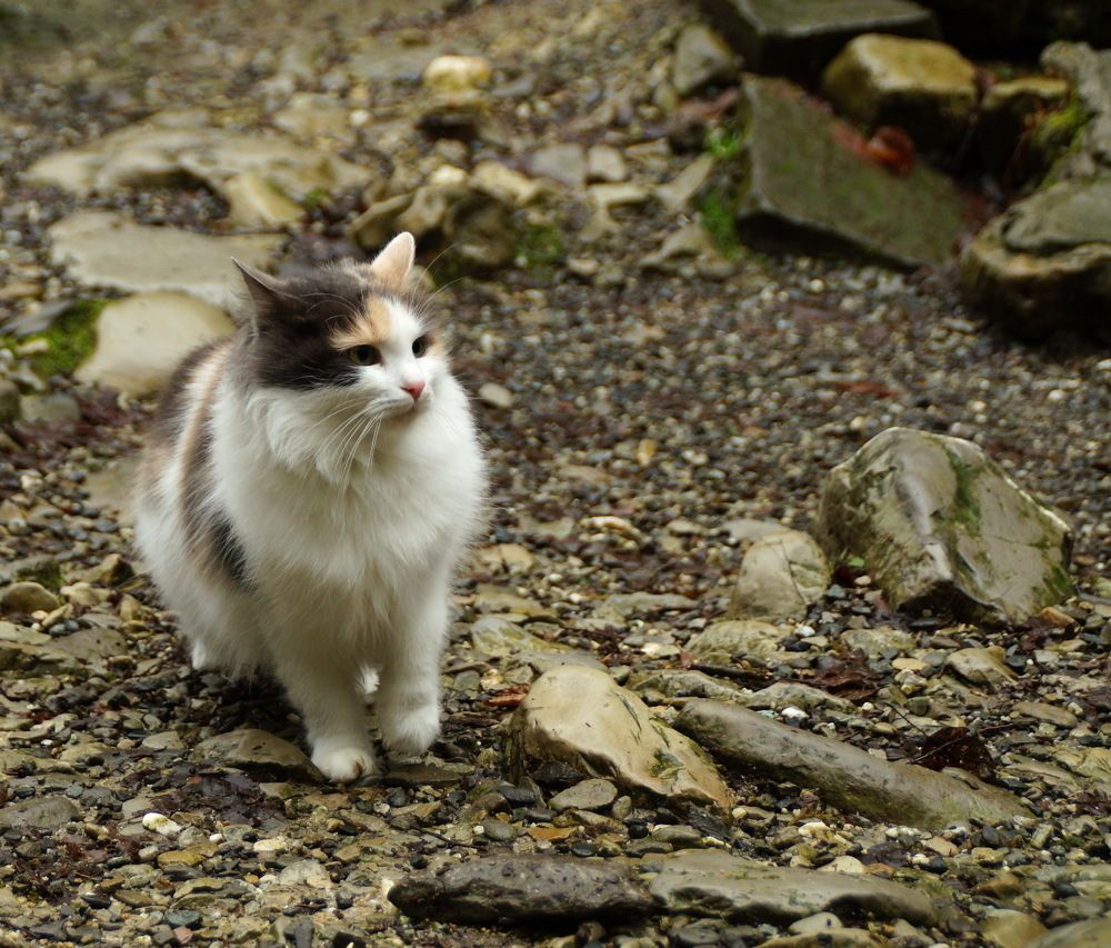 Photograph by Юрий Сычев