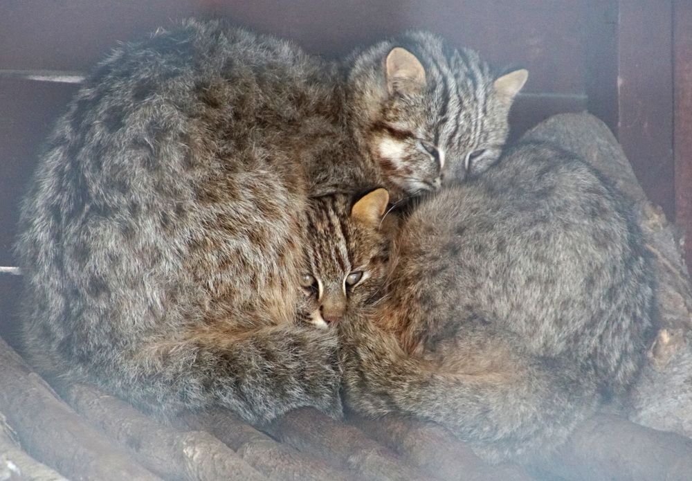 Photograph by Юрий Сычев