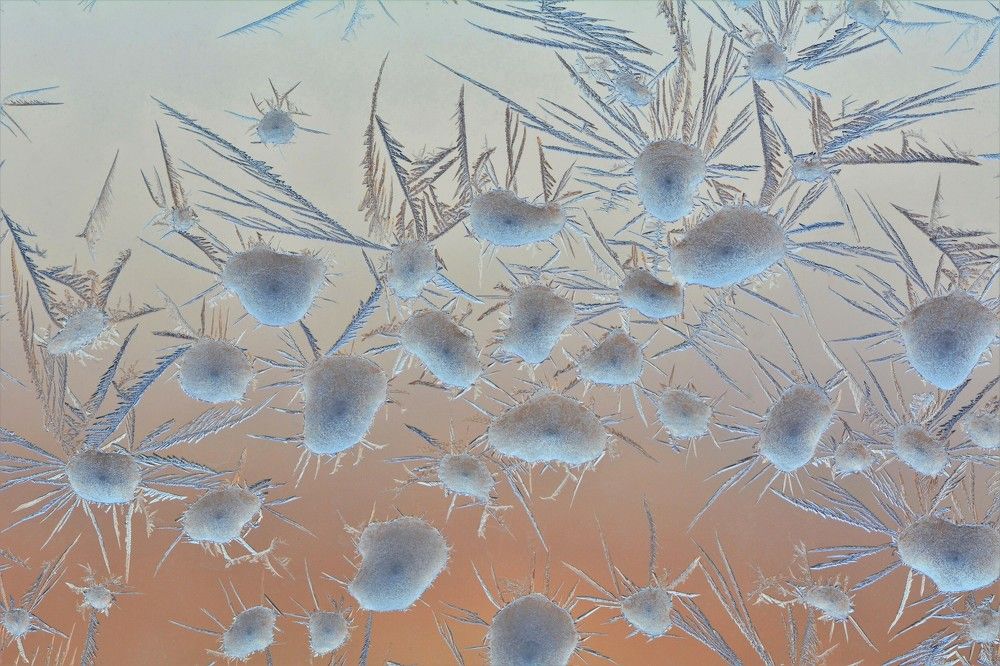 Photograph by Анатолий Каминский