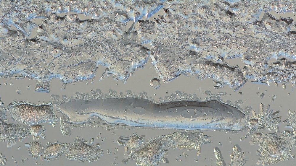 Photograph by Анатолий Каминский