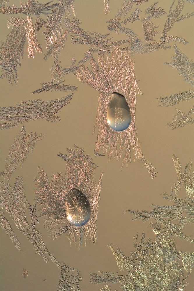 Photograph by Анатолий Каминский