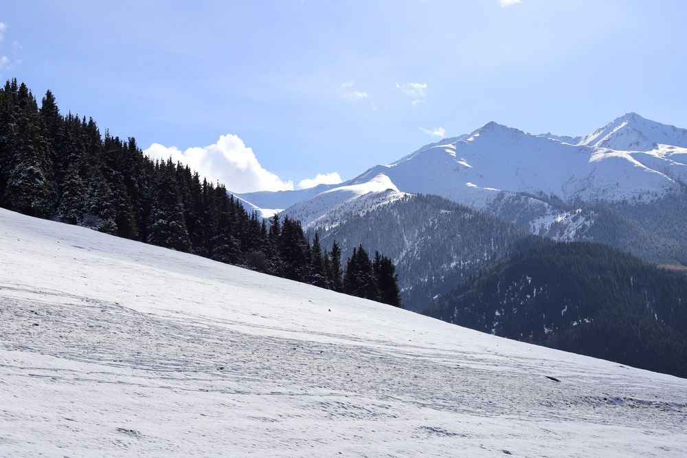 Photograph by Дарья Желудкова