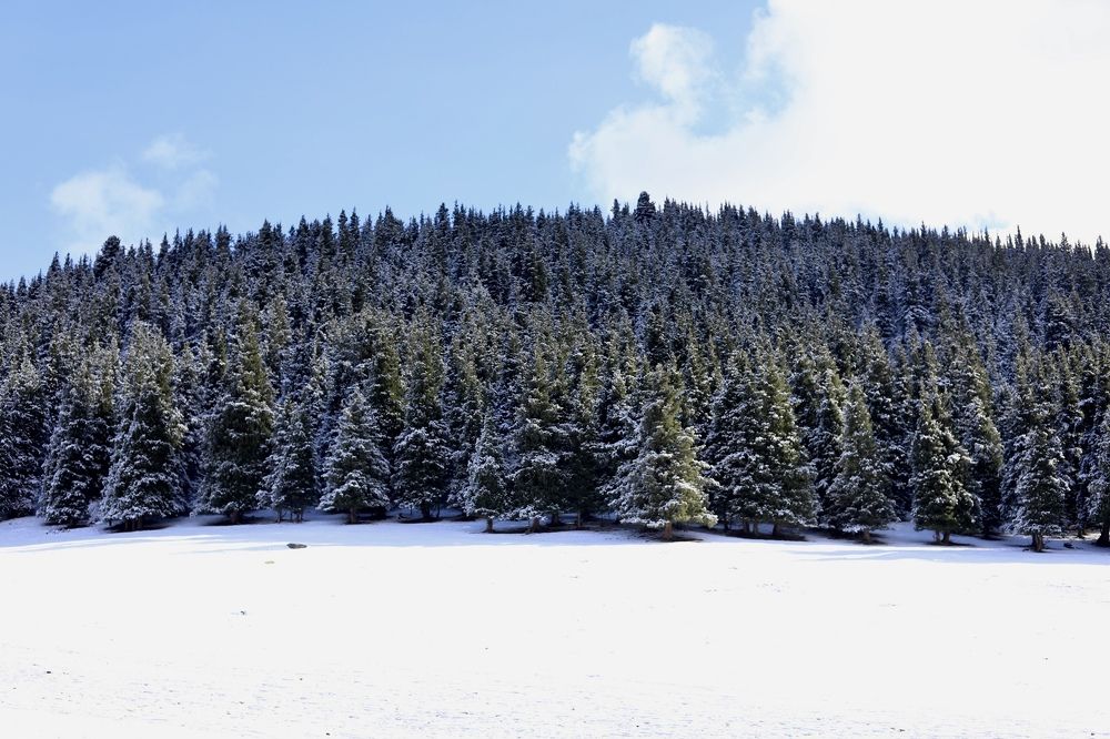 Photograph by Дарья Желудкова