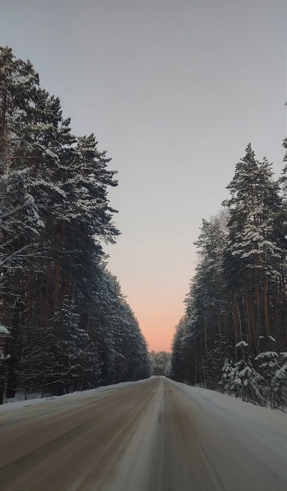 Фотография автора Васильева Ирина