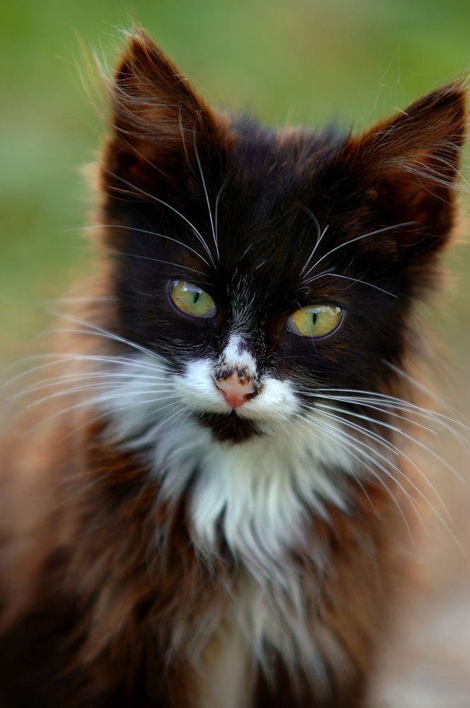 Photograph by Сергей Аникин