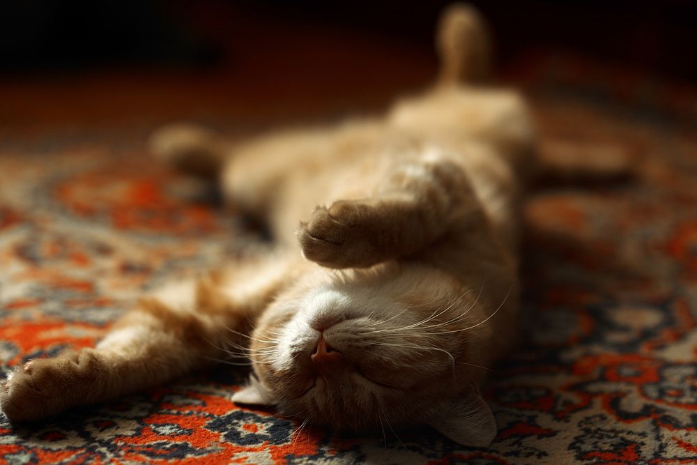 Photograph by Наталья Цуканова