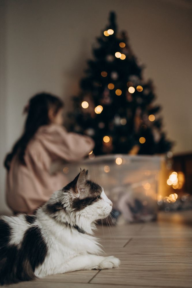 Photograph by Екатерина Абонеева