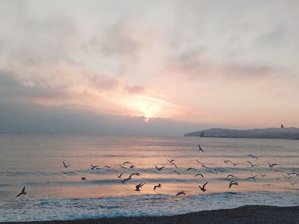 Феодосия. Январь-расвет.