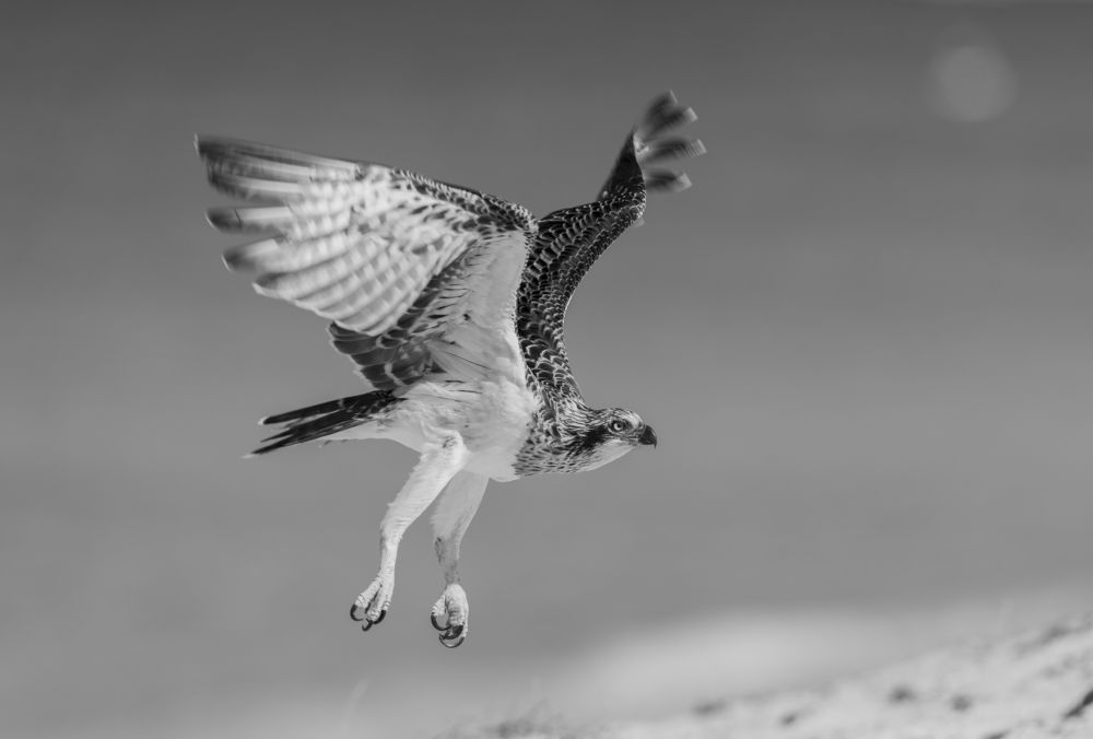 Photograph by Dennis Vagner