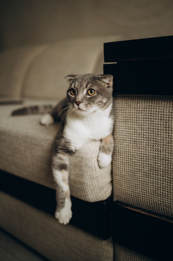 Photograph by Екатерина Абонеева