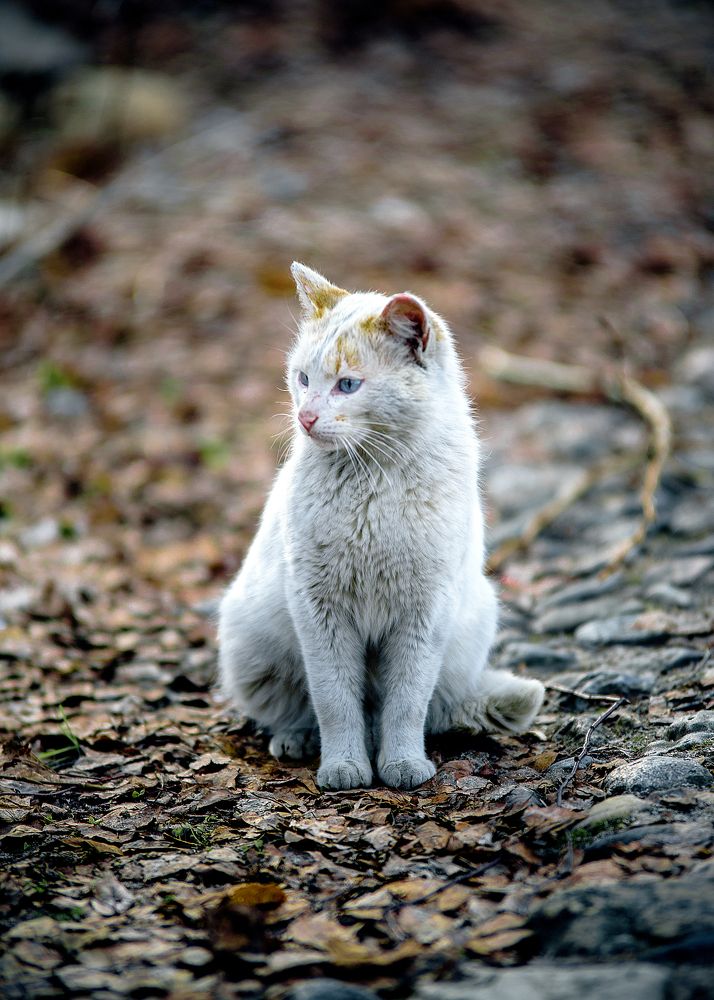 Photograph by Белевитин Михаил