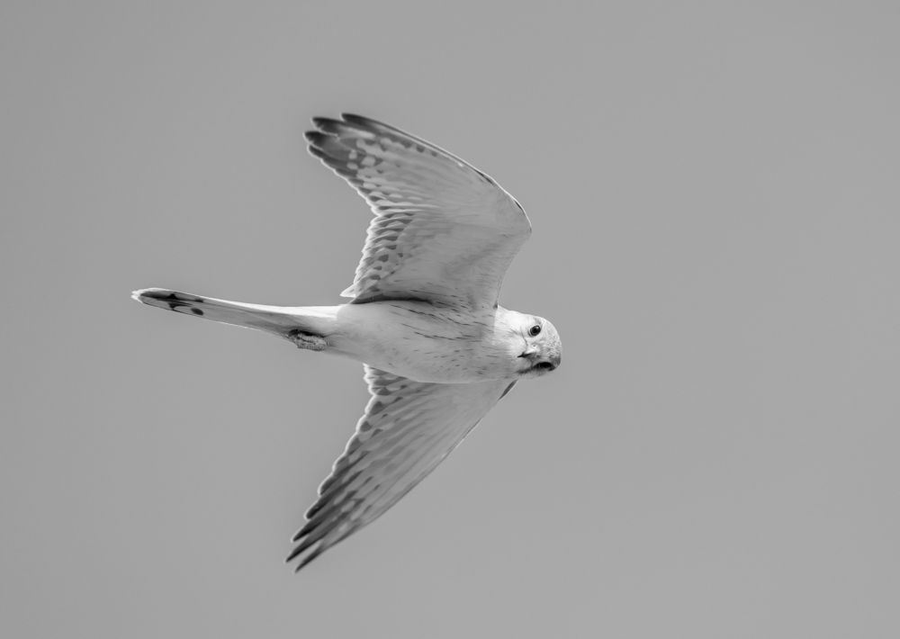 Photograph by Dennis Vagner