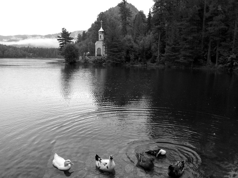 Photograph by Ирина Корнева