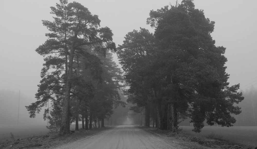 Фотография автора Александр Буренко