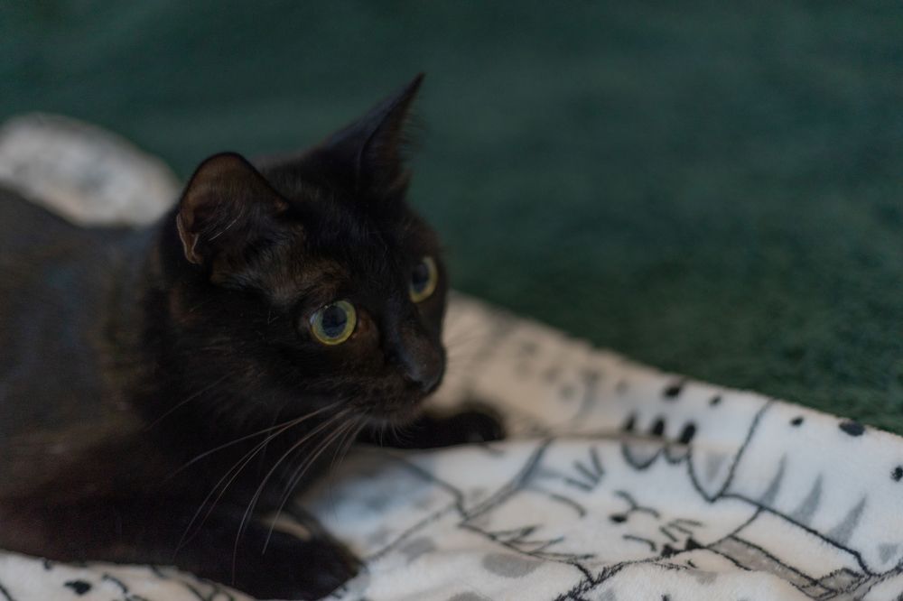 Photograph by Полианна Напара