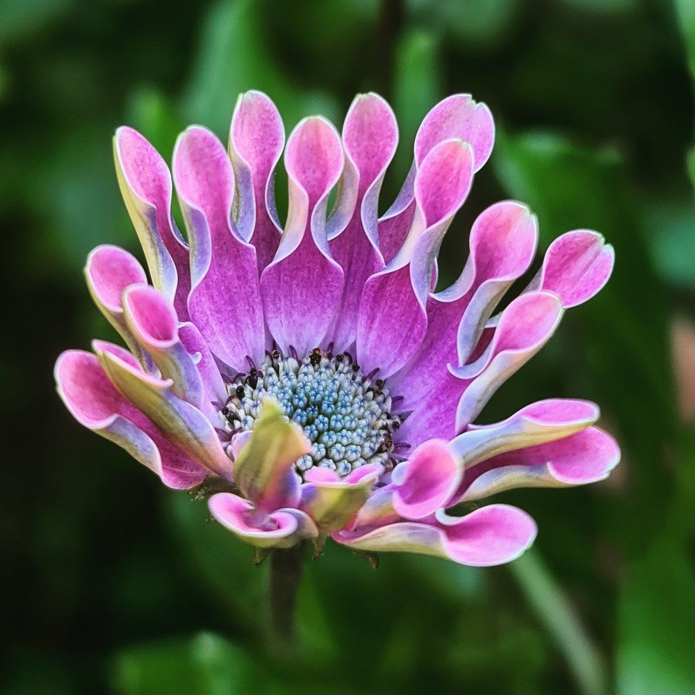 Photograph by Dmitrijs Babakovs