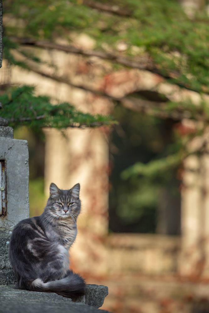 Photograph by Евгения Бочарова