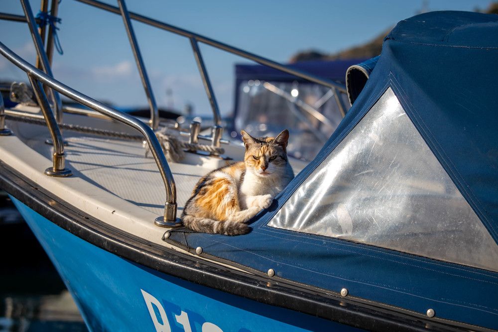 Photograph by Евгения Бочарова