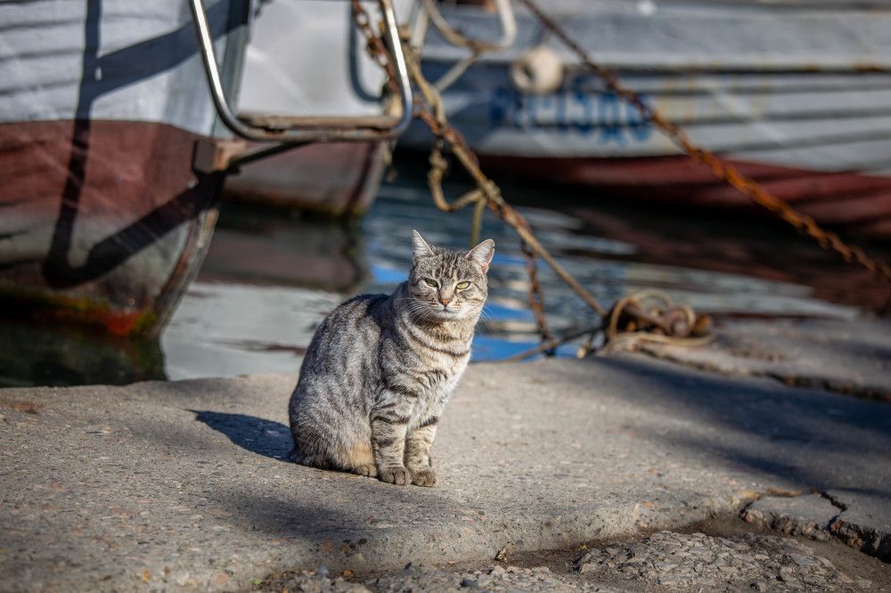Photograph by Евгения Бочарова