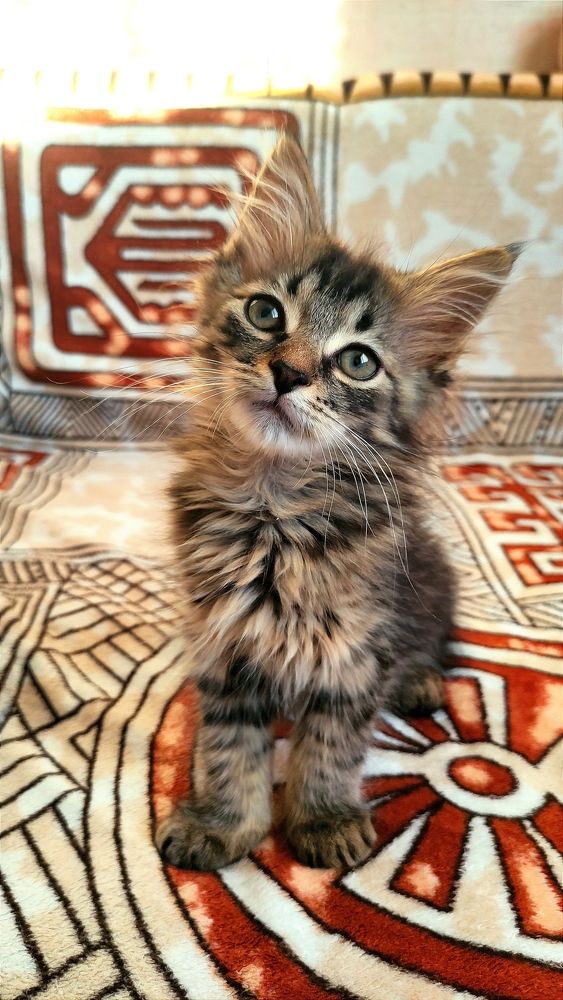 Фотография автора Васильева Ирина