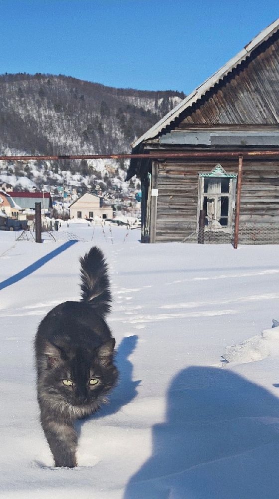 Photograph by Кристина Кублашвили