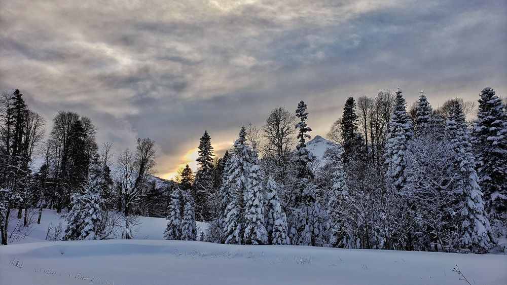 Photograph by Сергей Кравченко