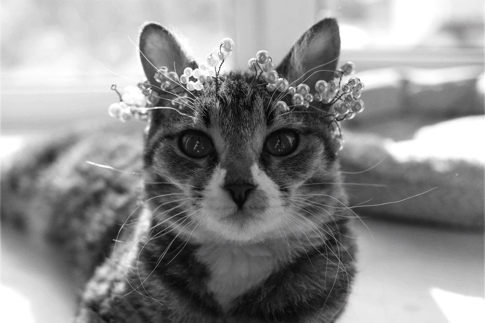 Photograph by Янина Рейфер