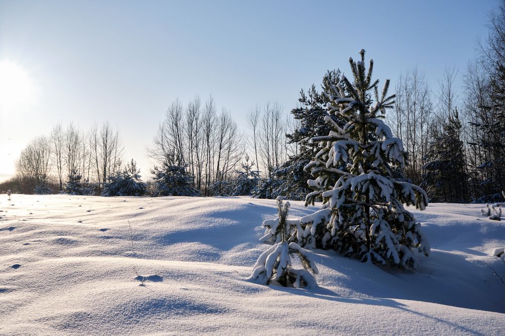 Снежная зима