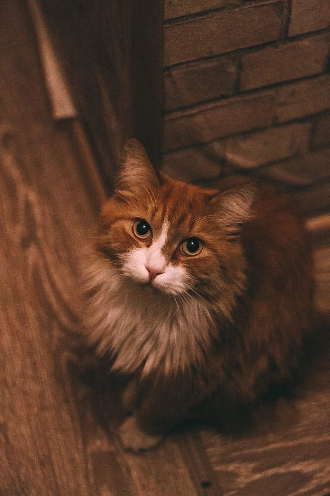 Photograph by Мелькова Екатерина