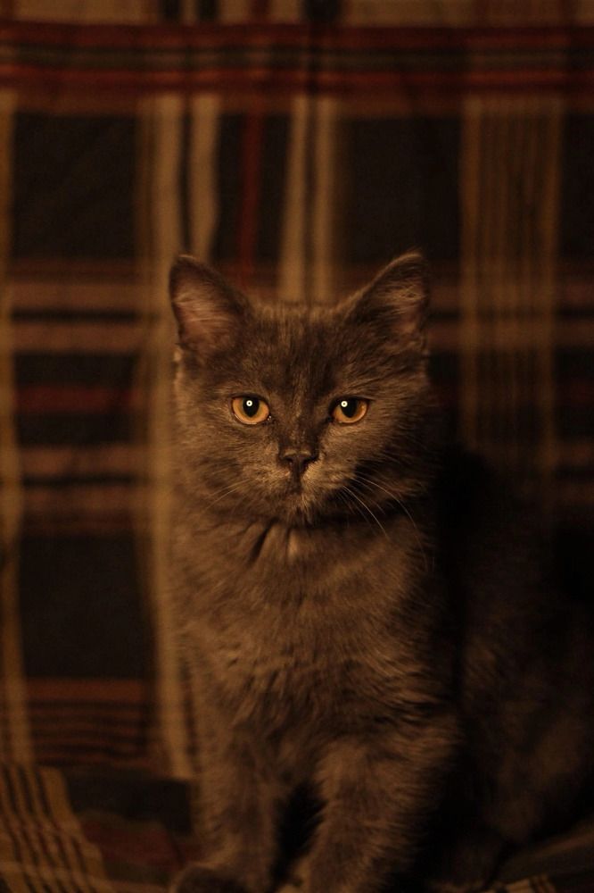 Photograph by Мелькова Екатерина