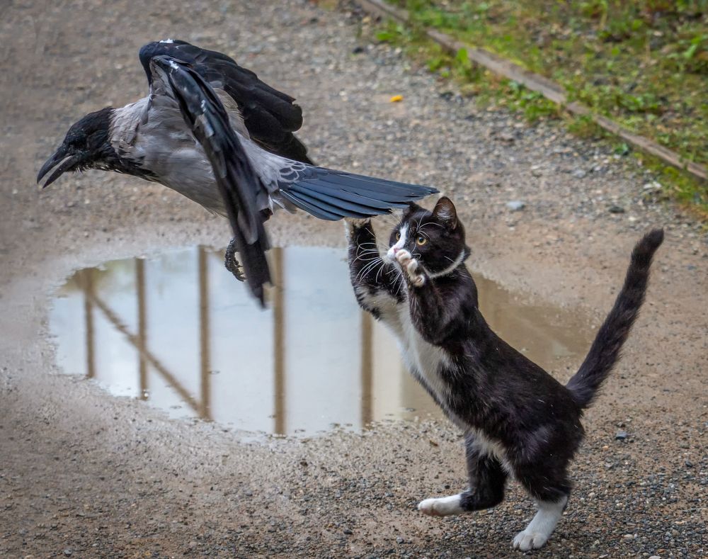 Photograph by Ольга Католичук